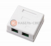 Розетка комбинированная внешняя, UTP RJ-45(8P8C) + RJ-11(6P-4C) REXANT